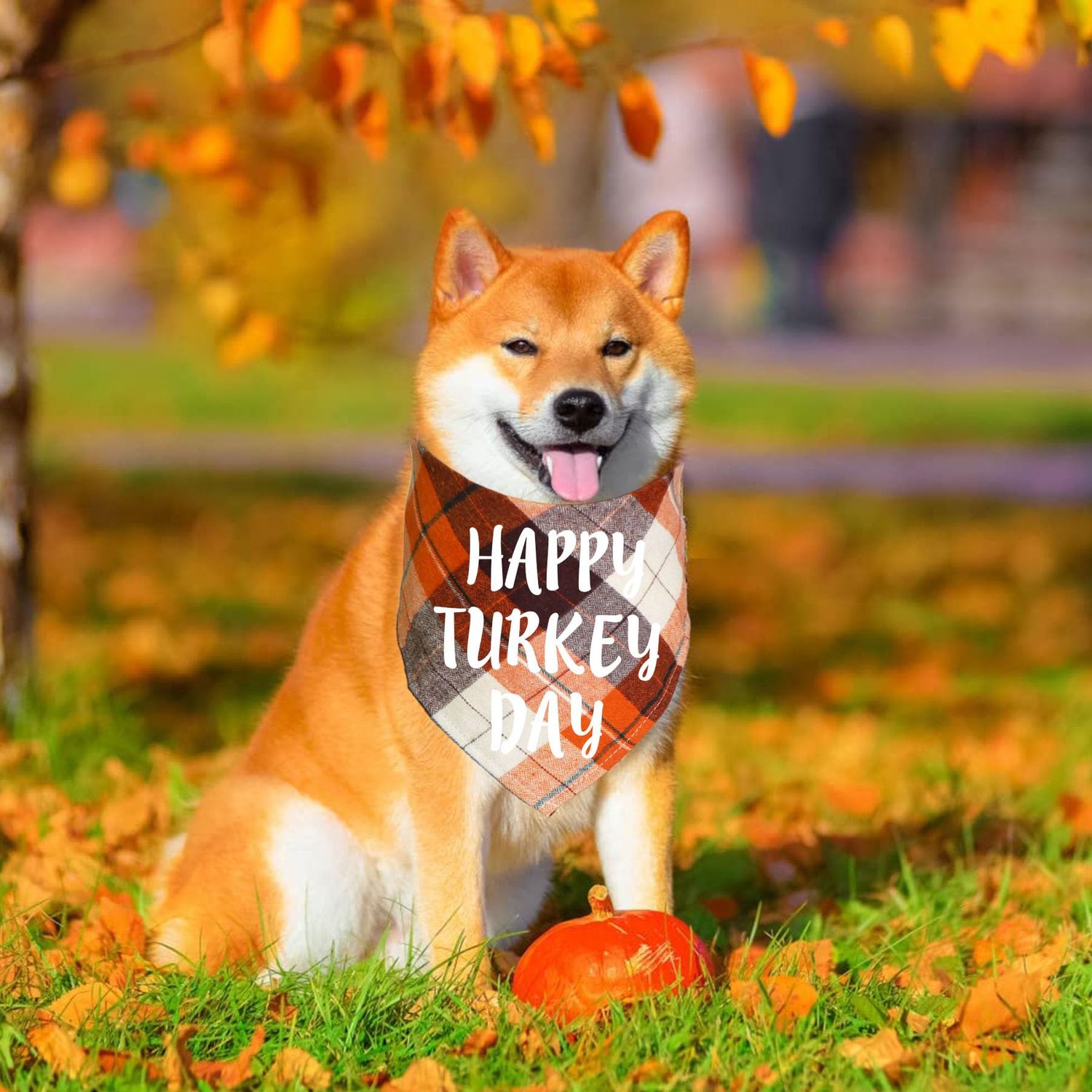 STMK 3 Pack Thanksgiving Day Dog Bandanas, Holiday Fall Thanksgiving Dog Bandanas Scarf for Small Medium Large Dogs (Large)