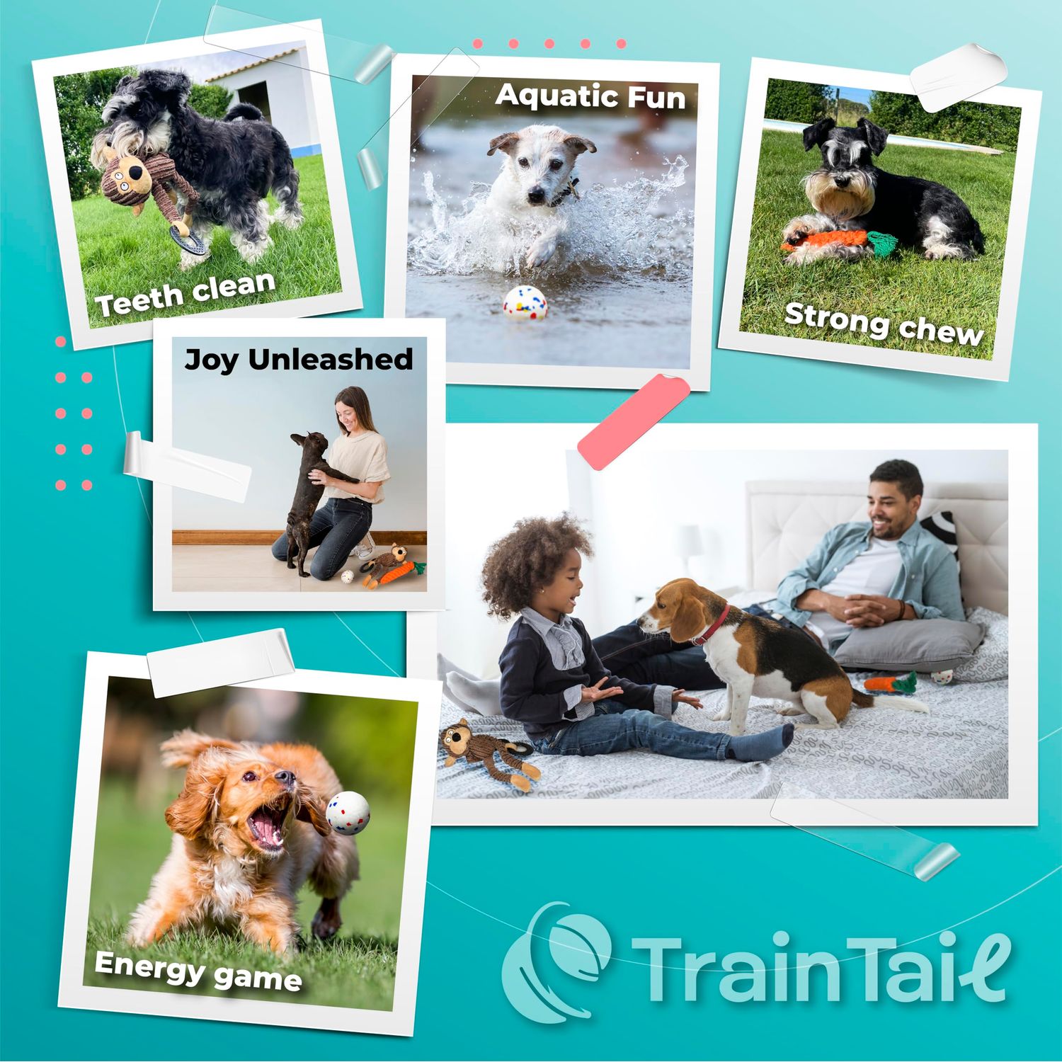 TrainTail Dog Toys Set for Small Medium Dogs, Cute Plush Toys with Rope Carrot Monkey Ball for Puppy Teething Chewing Play