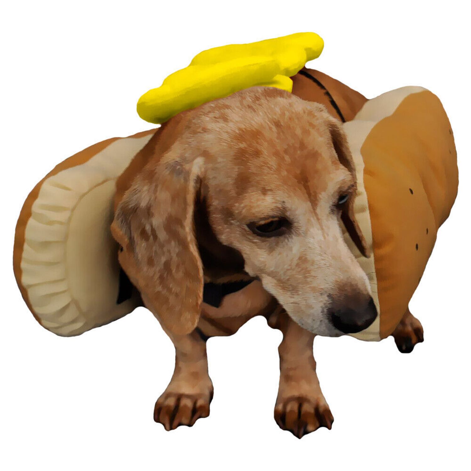 Otis and Claude Fetching Fashion Hot Diggity Dog Costume Mustard (Medium)
