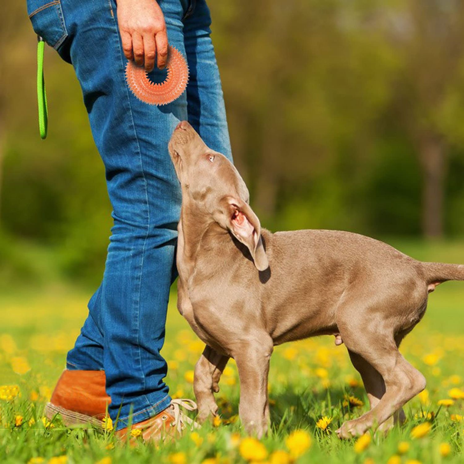 Andiker Squeaky Dog Toy, TPR Chewable Dog Toys for Teeth Grinding&Cleaning Dog Fetch Toys for Enhancing Interactivity Outdoor Suitable for All Dog Sizes Puppy’s Gifts and Dog Lovers (Small Orange)