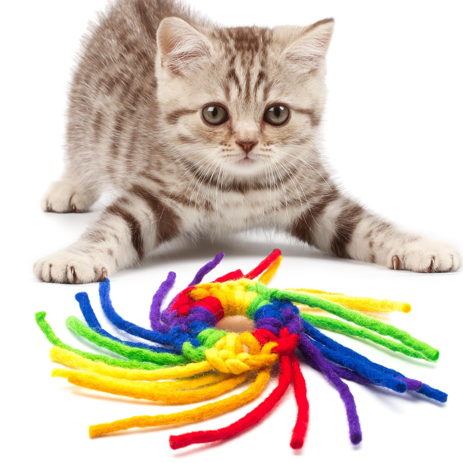 Glaciart One Wool Spider Cat Toy w/Catnip - Soft Fuzzy Enrichment 100% Natural Wool, Interactive Play Cat Toy Set - Safe for Pets, Non-AZO Colored Dyes