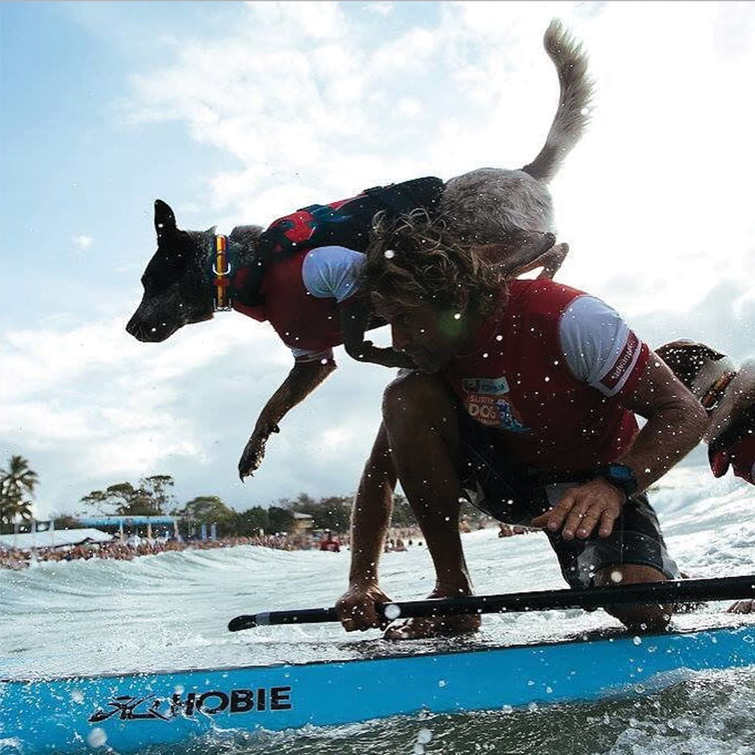 EzyDog Premium Doggy Flotation Device (DFD) - Adjustable Dog Life Jacket Preserver with Reflective Trim - Durable Grab Handle for Safety and Protection - 50% More Flotation Material (Medium, Red)