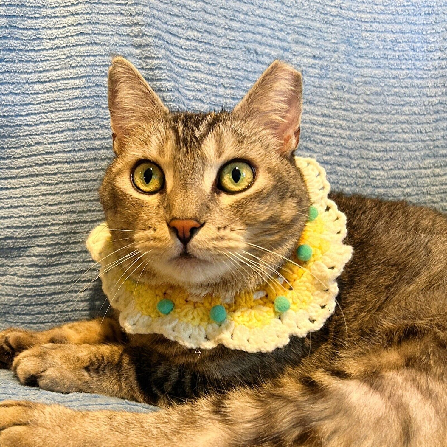 Pet Cat Dog Collar Cute Crochet Decorative Knit Bandana fits 7-to-11-inch neck