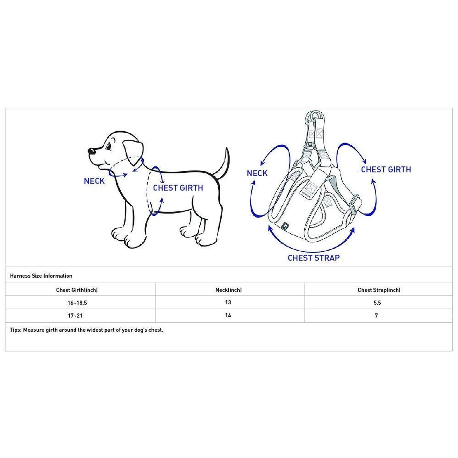 Blueberry Pet 4 Colors Better Basic Dog Harness Vest, Orange Fusion, Chest Girth 17" - 21"