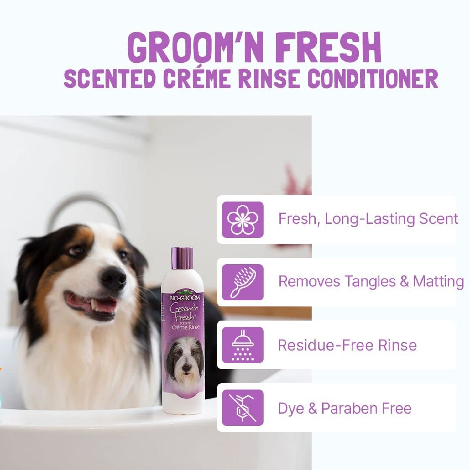Bio-Groom Groom'n Fresh Dog Conditioner – Scented Dog Bathing Supplies, Puppy Wash, Cat & Dog Grooming Supplies for Sensitive Skin, Cruelty-Free, Made in USA, Tearless Dog Products – 12 fl oz 1-Pack