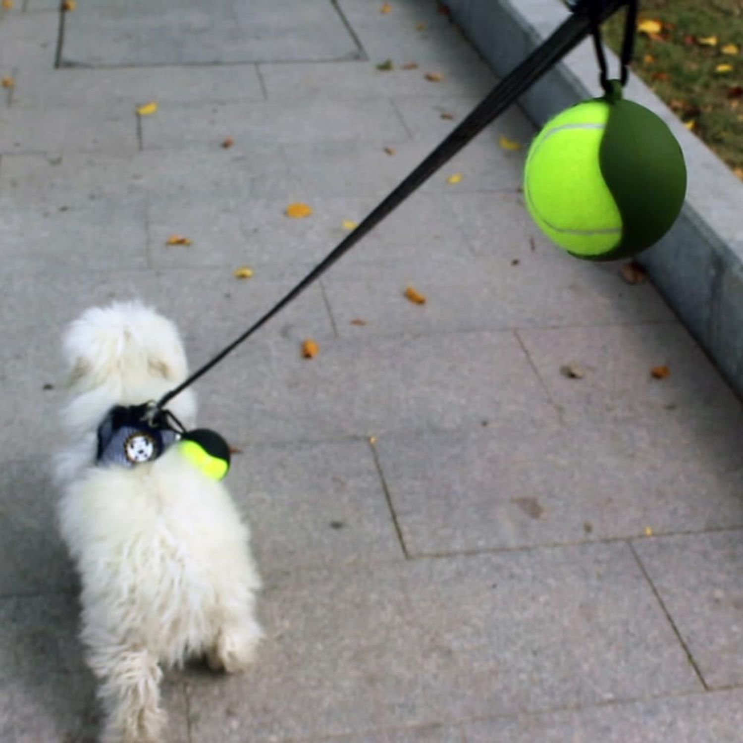 Dog Accessory Ball Holder - Leash Attachment, Lightweight Silicone for Convenient and Fun Playtime (Black)