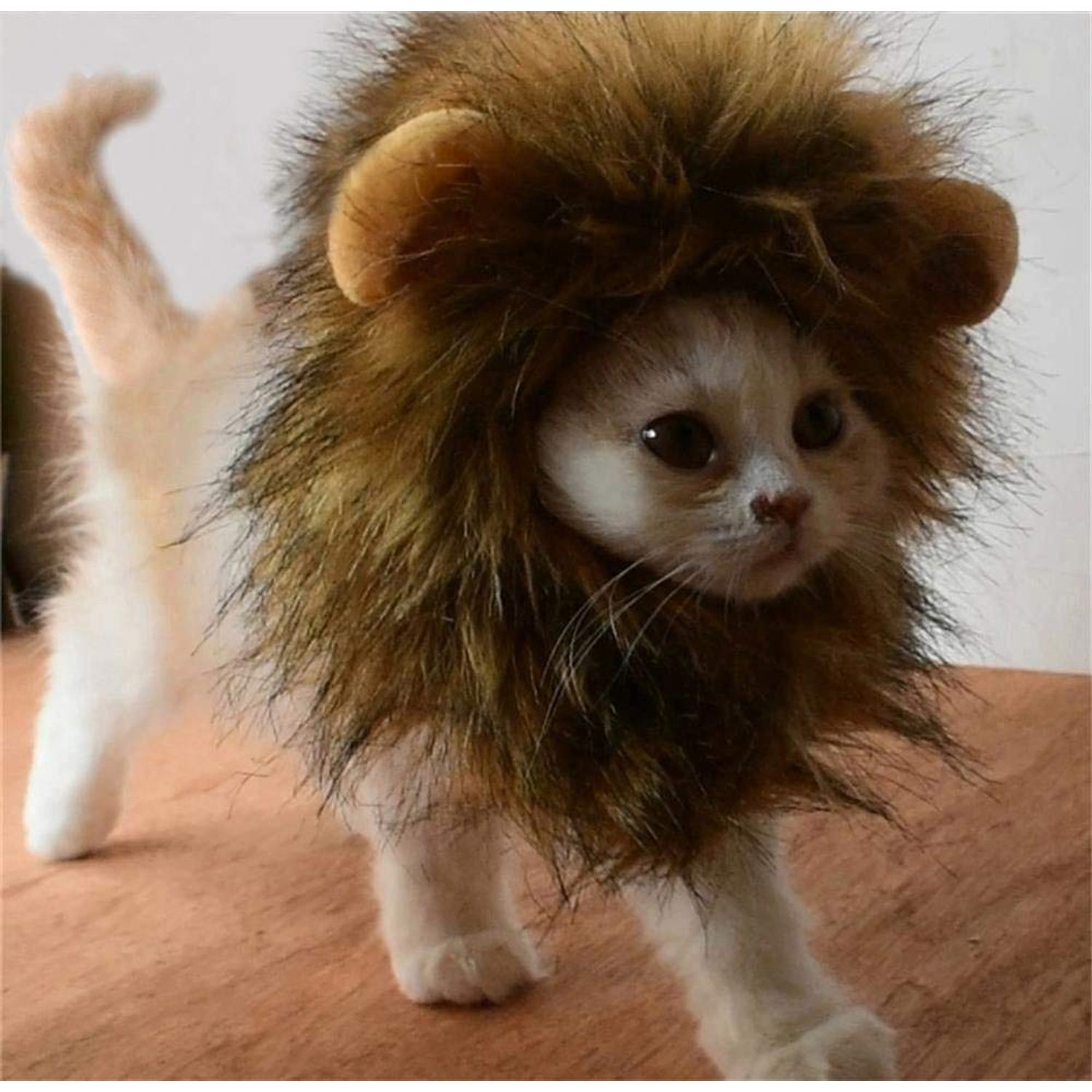 2 Pack Lion Mane Wig Costume for Cat Costume Bunny Rabbit Hat Headwear with Ears Pet Cosplay Dress up Halloween Party Costume Accessories for Cats & Small Dogs