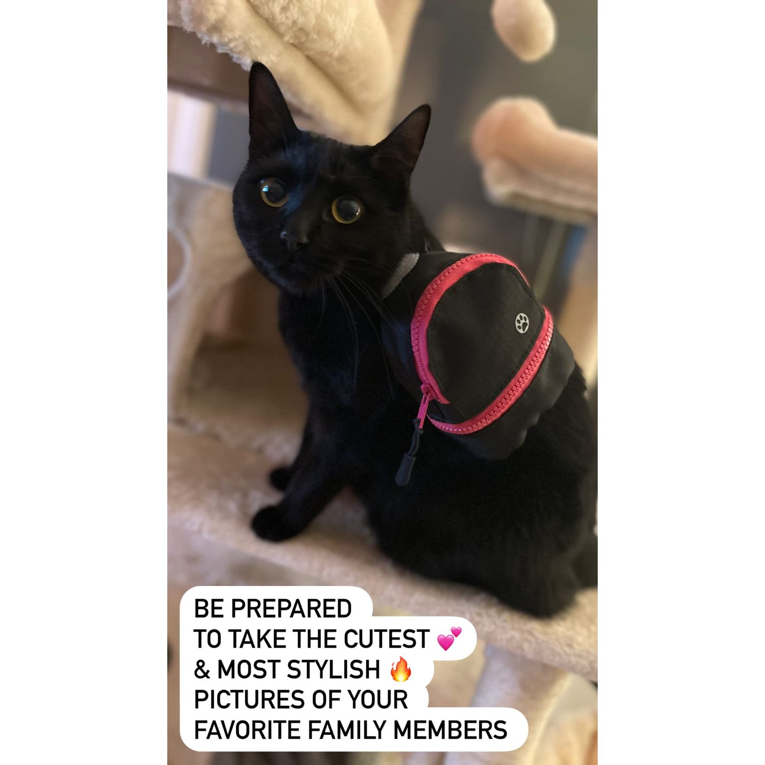 PawPacks LLC Dog Backpack, Cat Backpack, Small Carrier | Clip on Harness or Leash, Fun Pet Treat Holder, Toy Bag, or Waste Dispenser | OG Neon Series Color (Pink Black City Mode)