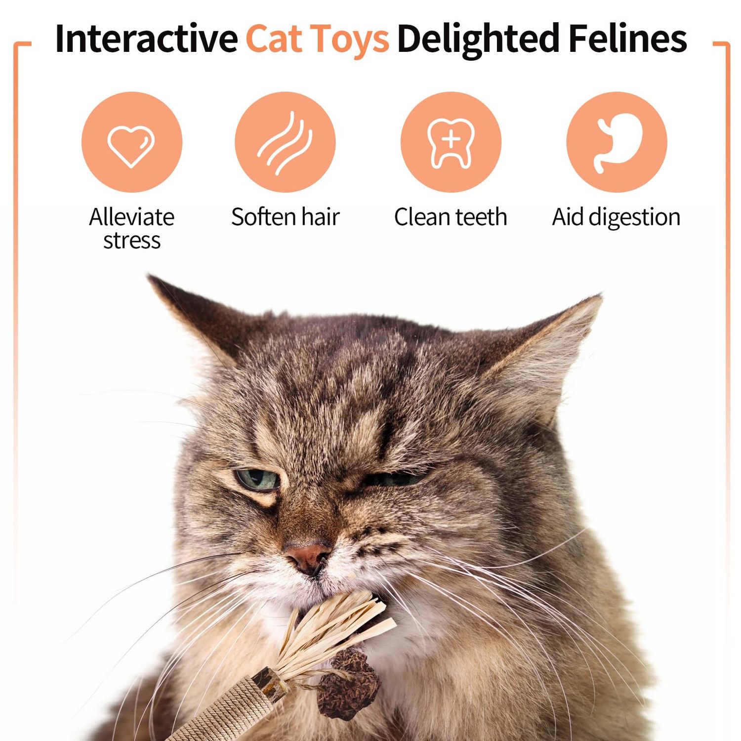 YWAOOH Cat Toys, 6 Silvervine Chew Sticks & 1PCS Organic Catnip & 1PCS Silvervine Powder, Cat Dental Toys for Kitten Teeth Cleaning, Matatabi Cat Toy