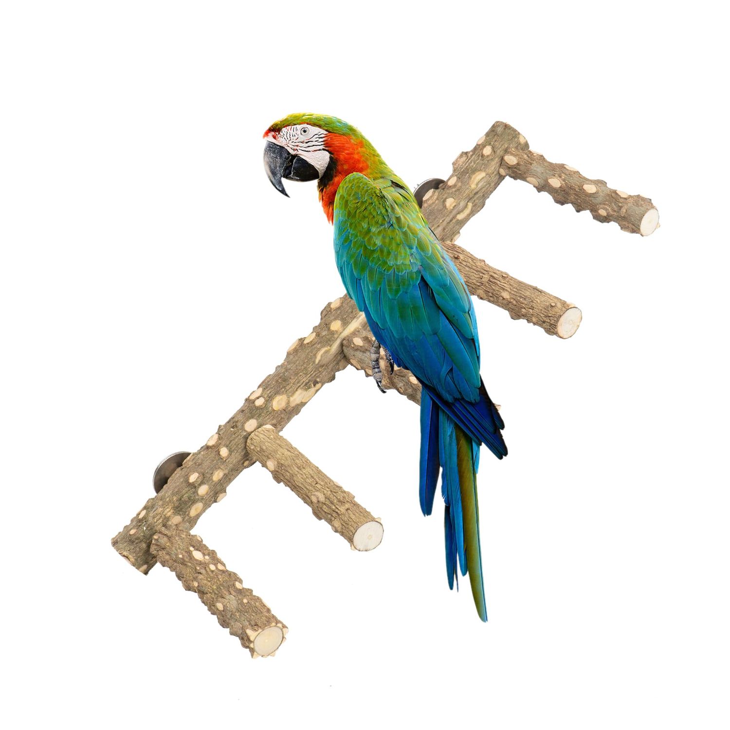 Wagably Bird Ladder Perch for Cage - Natural Wooden Bridge, Exercise Stands for Parrot Climbing - Pet Training Ladders - Hanging Playground -Toys for Parakeet, Cockatiel, Conures, Lovebirds, Budgie