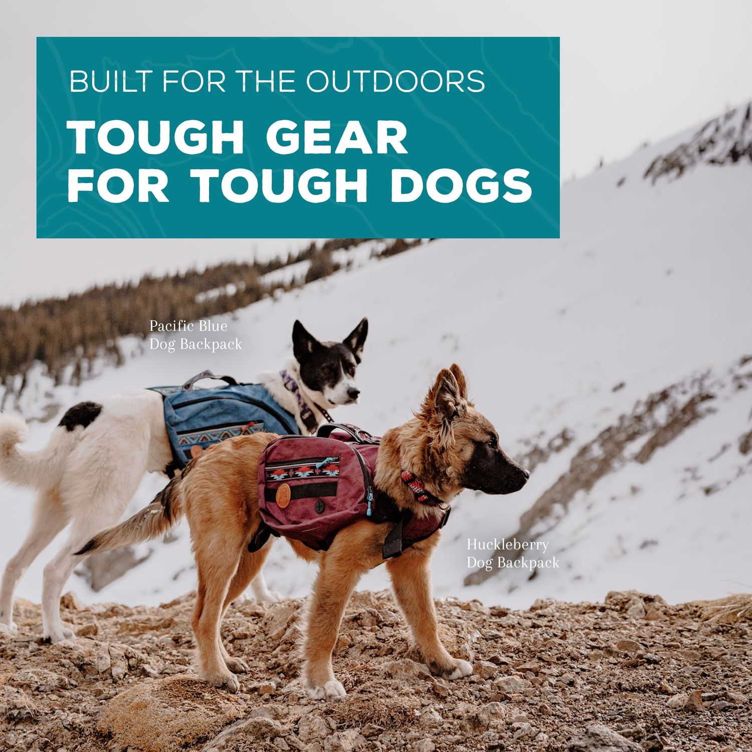 Wilderdog Dog Backpack with Built in Harness and Back-Mounted D-Ring Leash Attachment, Handle, Two Saddlebags with 4 Total Pockets, Built in Poop Bag Dispenser (Pacific Blue, Small)