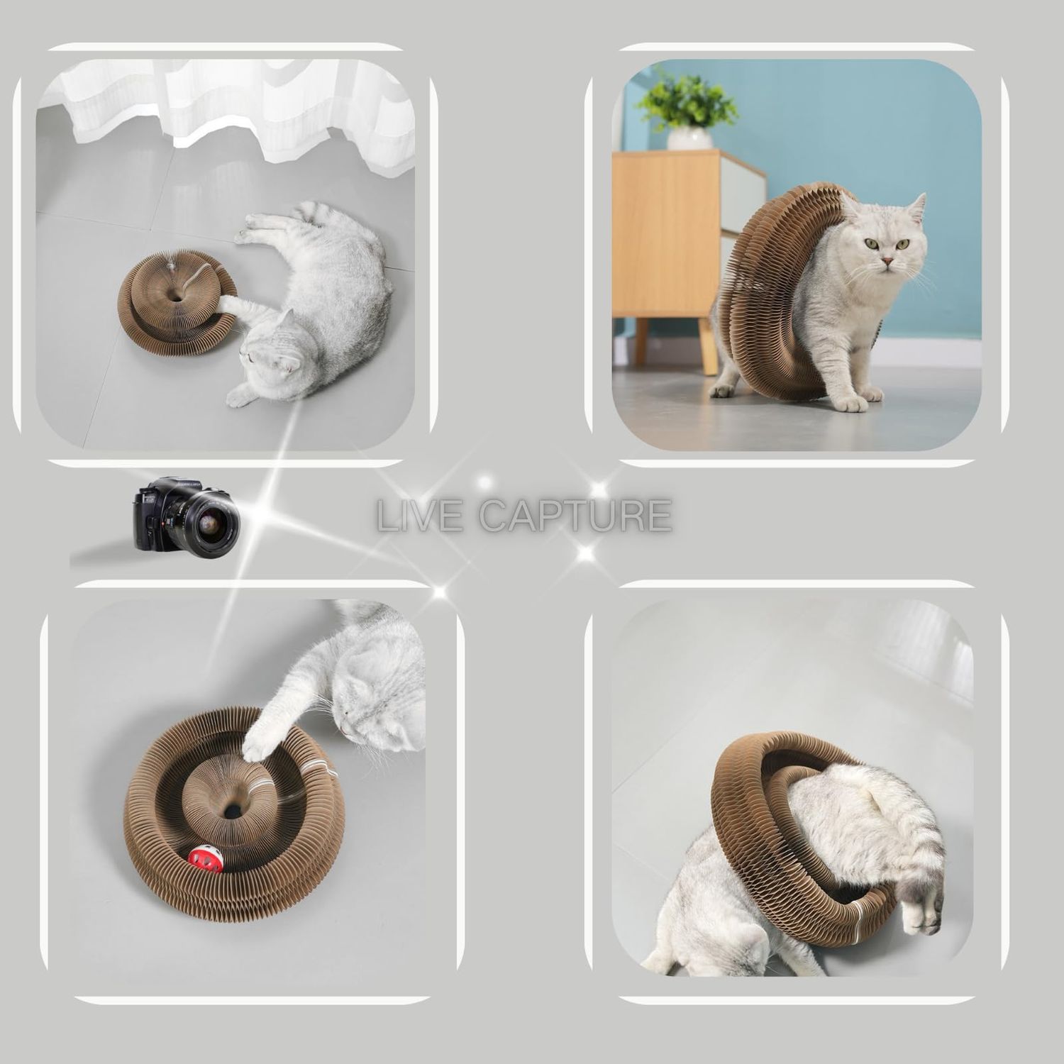 HUPIRCT Cat Scratching Board, Cardboard cat Toy with Bell, Interactive cat kurlz, Magic Organ cat Toy, Recyclable and Durable (XXL)