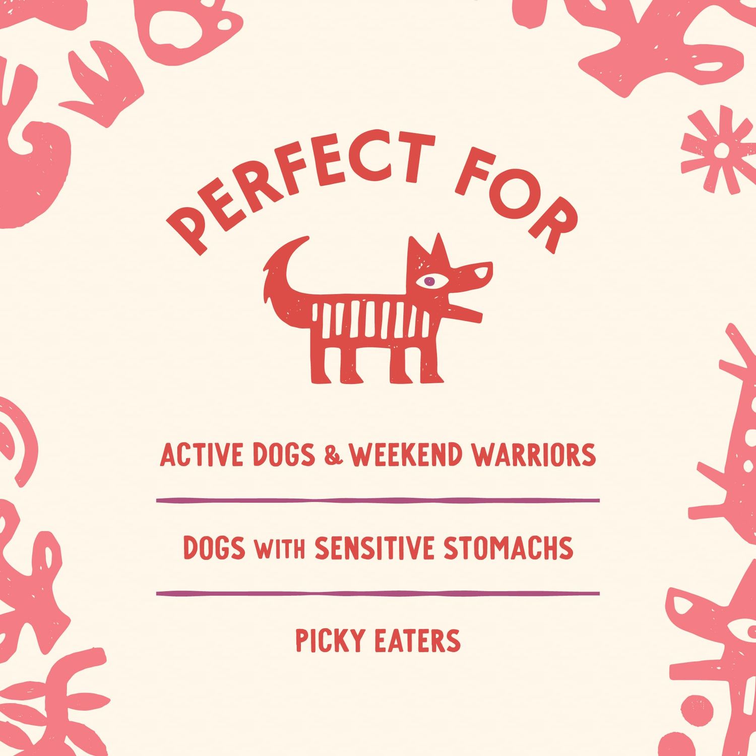 Cave Pets, Super Chomp Treat, Grain-Free Dog Treat and Digestion Supplement for Dog Health, Liver & Beet, 60 Treats