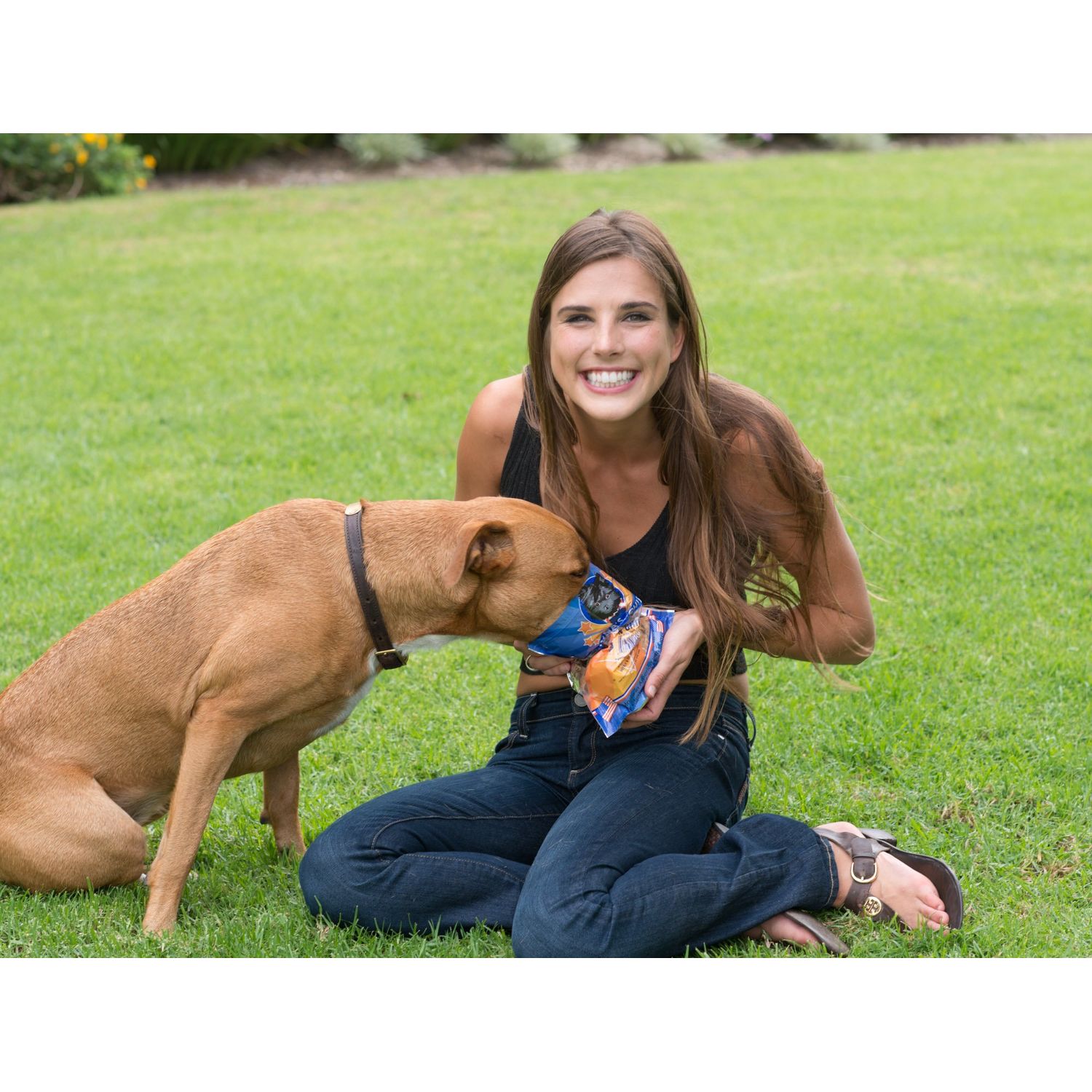 KONA'S CHIPS Chicken and Sweet Potato Jerky; Dog Treats Made in USA ONLY - 100% USDA Chicken, Grain Free. Natural, Healthy & Safe Treats for Your Dog (16 oz)