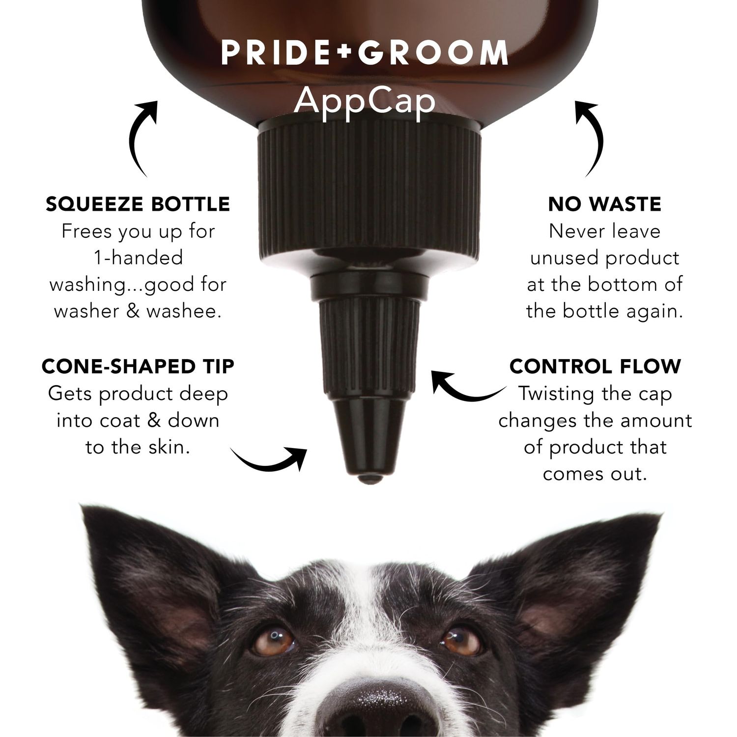 Pride and Groom The Sensitive One | Dog Grooming Shampoo for Puppies and Dogs with Itchy, Dry Skin| Tearless All Natural Body Wash with Essential Oils to Soothe Skin – 16oz (Pack of 2)