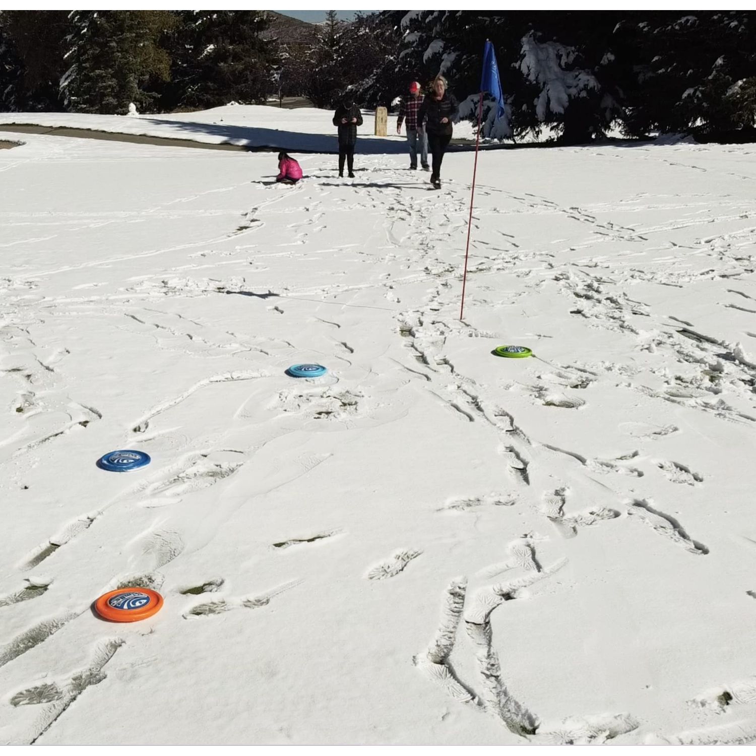 SkimBe Disc Snow and Winter Toy - Skips, Skims, Slides, and Jumps! Ideal for Snow, Gardens, Ice, and Pools - Enjoy Thrilling Moments for Kids, Adults, and Families! (Light Blue)