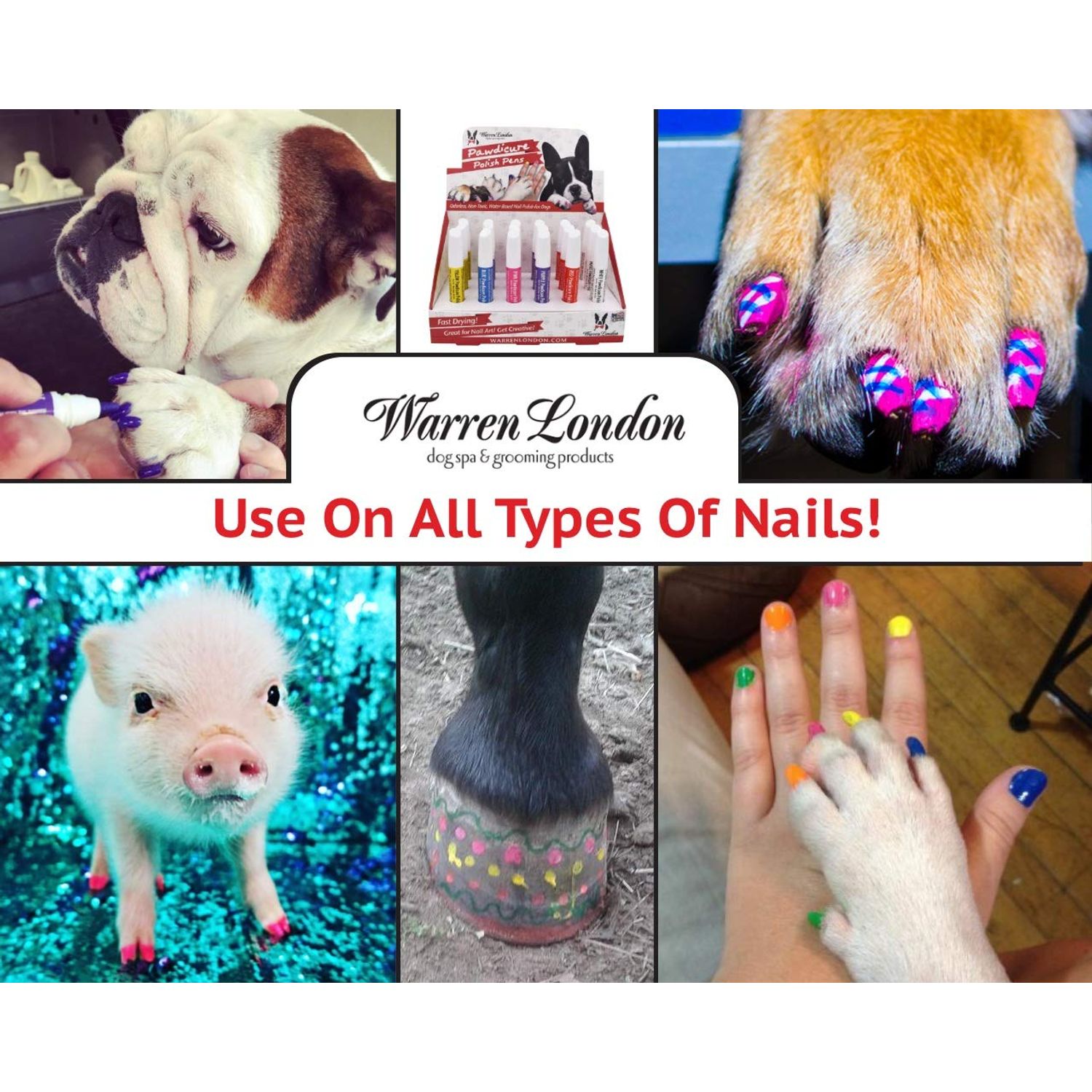 Warren London Pawdicure Dog Nail Polish Pens | Made in USA | Quick Dry, Low Odor, Non-Toxic Dog Accessories | Dries in Under 1 Minute | 13 Colors | Individual Pens (Variety)