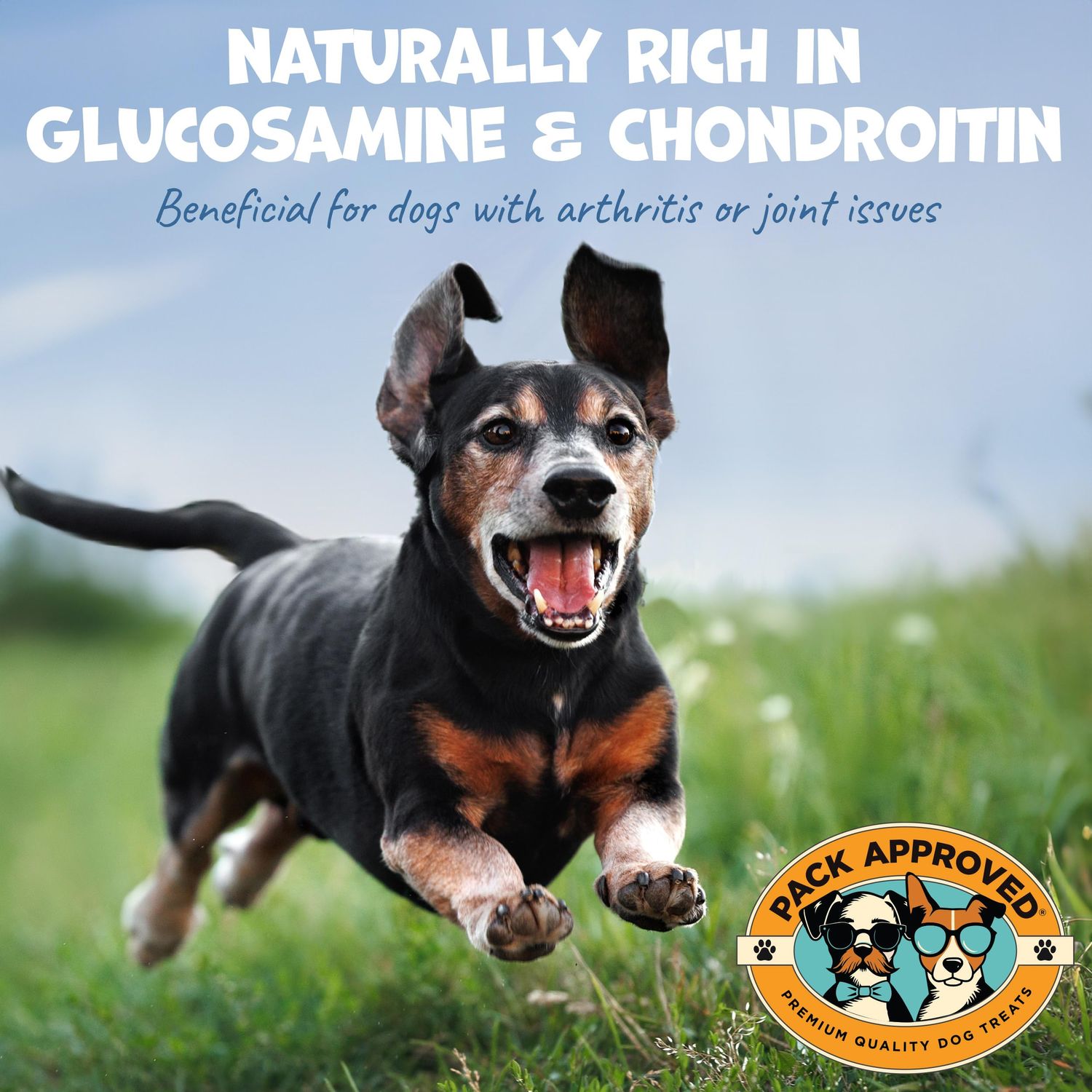Pack Approved Beef Trachea - Dehydrated Beef Dog Treats Made in USA - Single Ingredient Treat w/Chondroitin & Glucosamine - Dog Joint Health for Small to Medium Breeds - 5-6" (4ct)