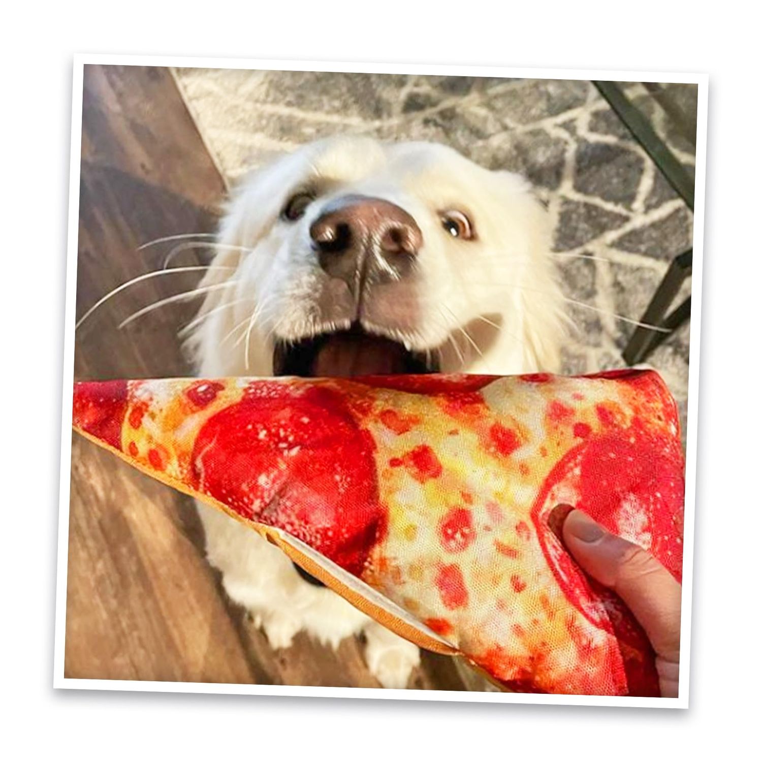 Doggijuana Bundle | Interactive Dog Toy with Juananip Refill | Includes Refillable Plush Dog Toy & Organic Juananip Refill for Natural Calming |Engaging and Relaxing Pet Play (Pizza)