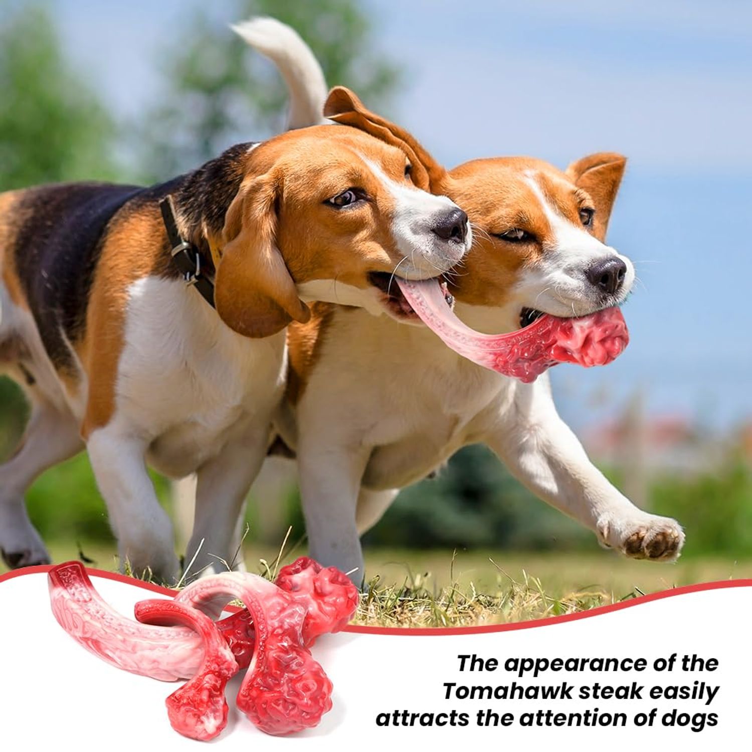 LILEEE Dog Chew Toys for Aggressive Chewers, Indestructible Dog Toy for Small Breed, Dog Nylon Toys for Medium Sized Dogs to Keep Their Teeth Shiny