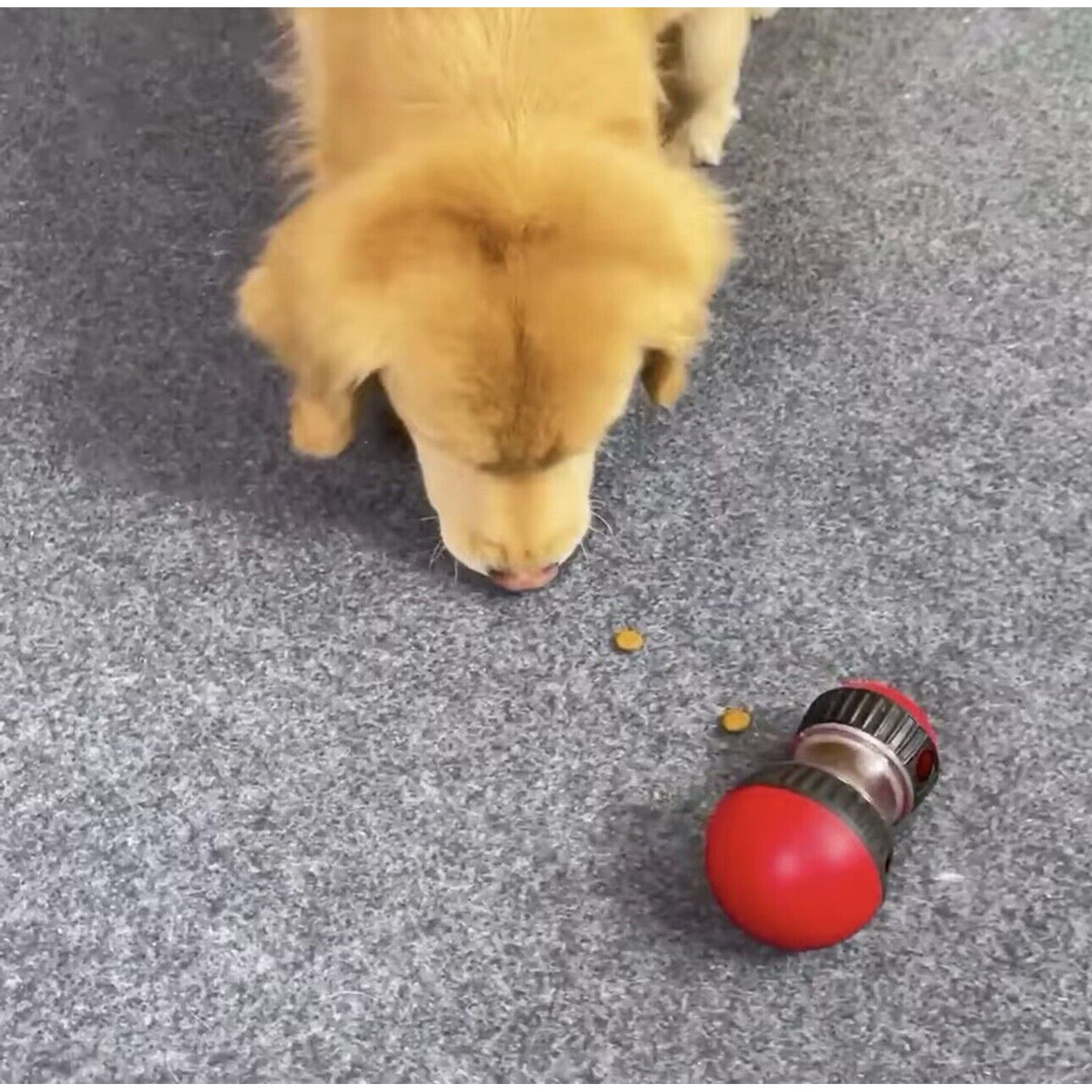 Dog Toy For Small Medium Large Dogs Cats Slow Feeder Pet Improve IQ Indoor