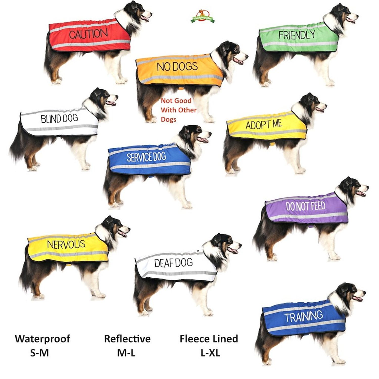 Service Dog Blue Color Coded S-M L-XL Buckle Dog Collar (Do Not Disturb) Prevents Accidents by Warning Others of Your Dog in Advance (L-XL Collar 15-25" Lx1.5 W)
