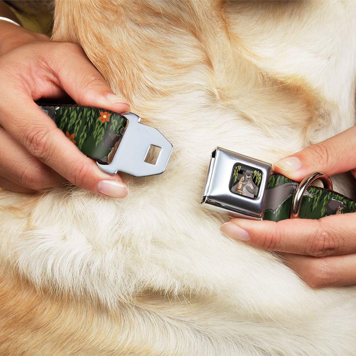 Dog Collar Seatbelt Buckle Mowgli Baloo 3 Poses Leaves Flowers Greens Orange 11 to 17 Inches 1.0 Inch Wide