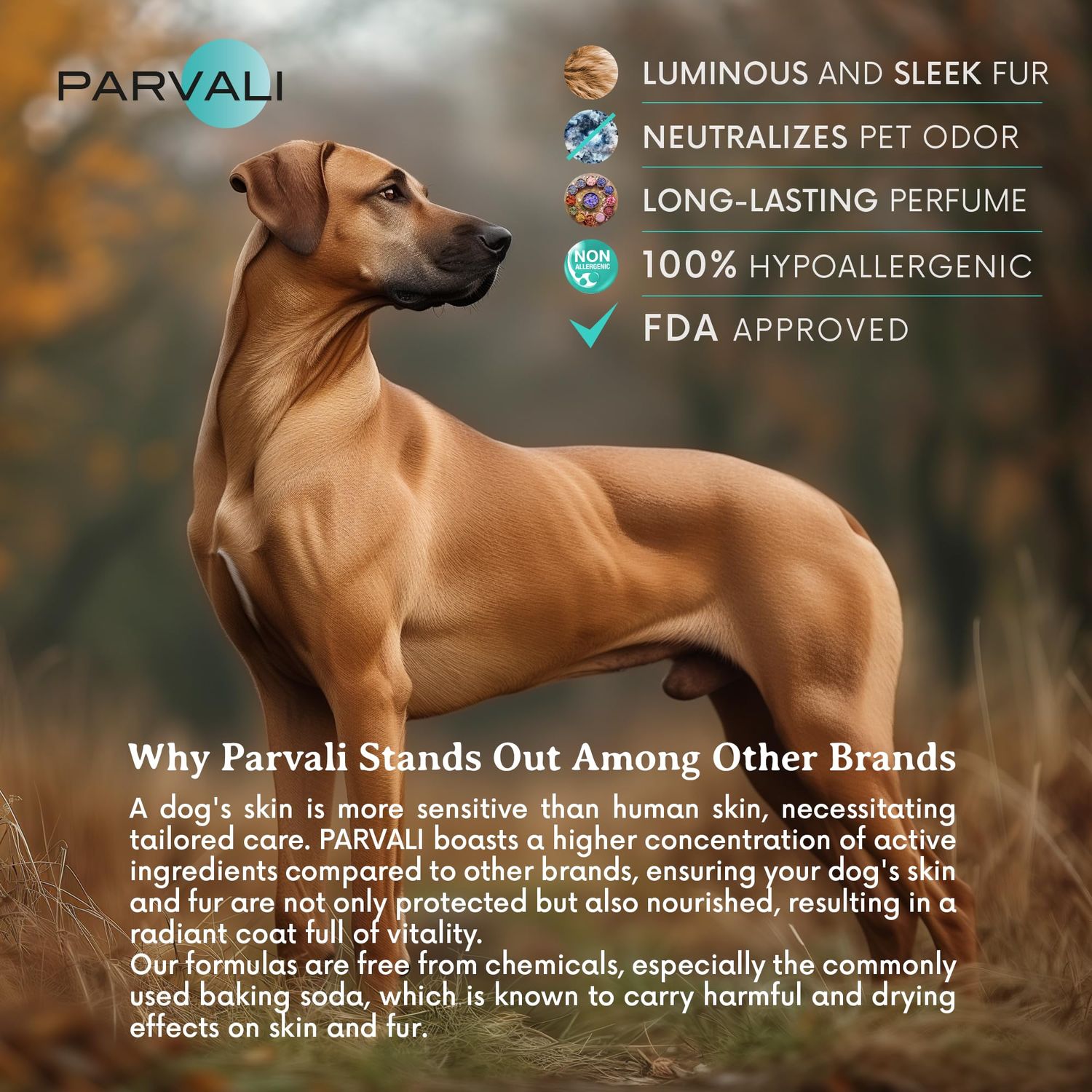 PARVALI Natural Dead Sea Classic Dog Shampoo (250 ml, 8.45 fl oz). Unique Odor-Neutralizing Blend, Minerals Rich, Anti-Oxidative, Antiseptic, and Calming Formula for Gentle and Easy Application.
