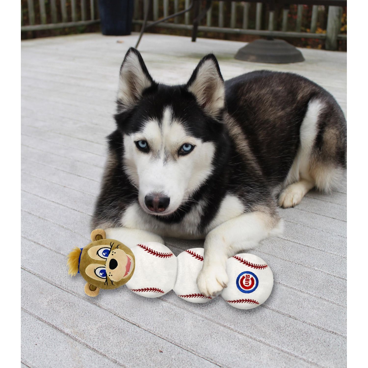 MLB CHICAGO CUBS - Clark The Cub Mascot Toy for PETS. Plush Dog Toy with 4 inner SQUEAKERS. 17" LONG DOG TOY