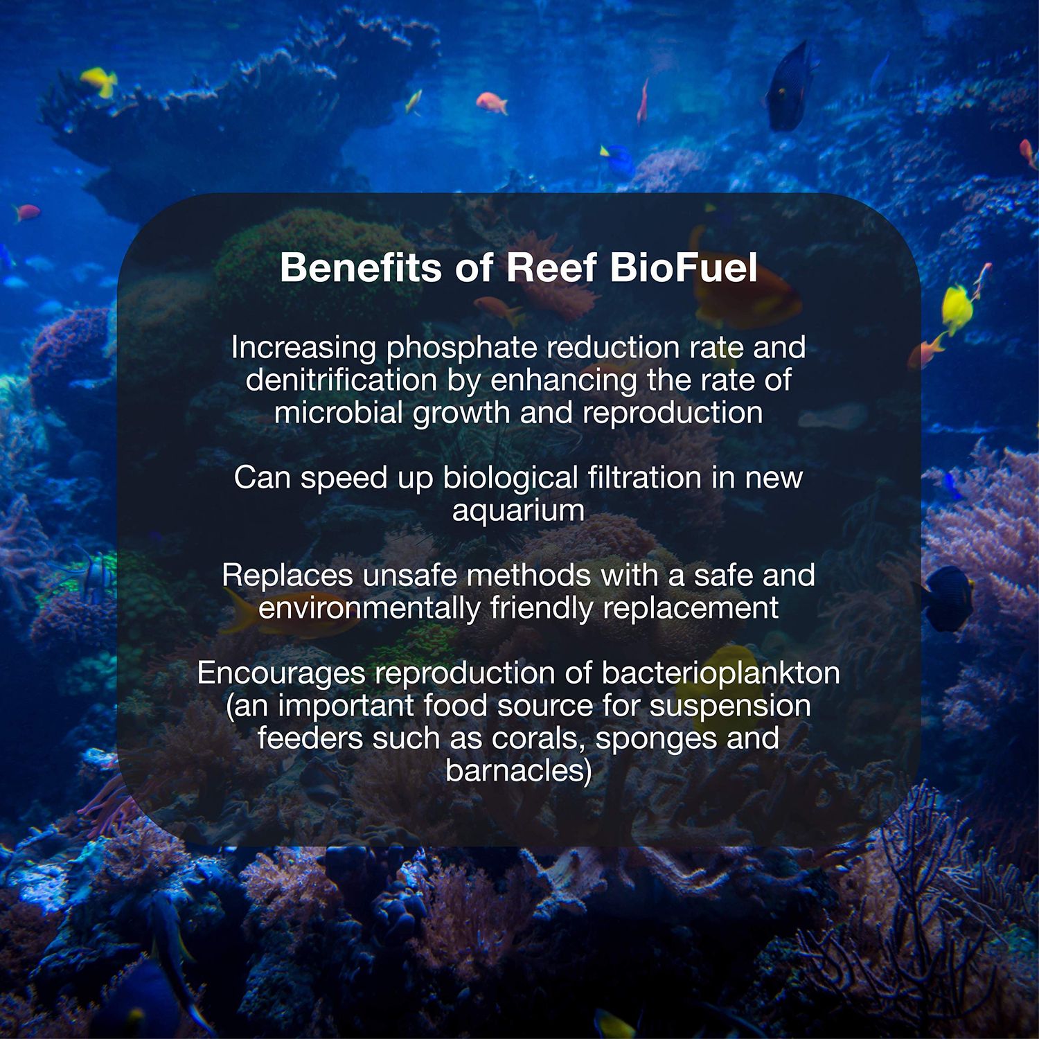 Brightwell Aquatics Reef BioFuel - Carbon Source for Natural Phosphate and Nitrate Reduction for all Marine and Reef Aquariums 250-ml