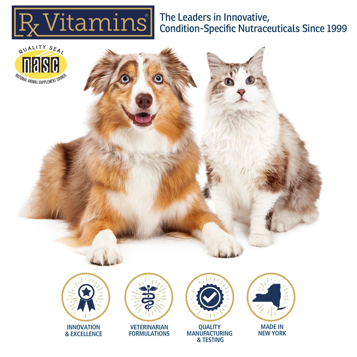 Rx Vitamins Amino B+K - Cat Vitamin B & Potassium Supplement for Cats - with Amino Acids Taurine & Lysine - Aids in Cat Kidney Support & Immune Support for Cats - Liver & Bacon 4oz