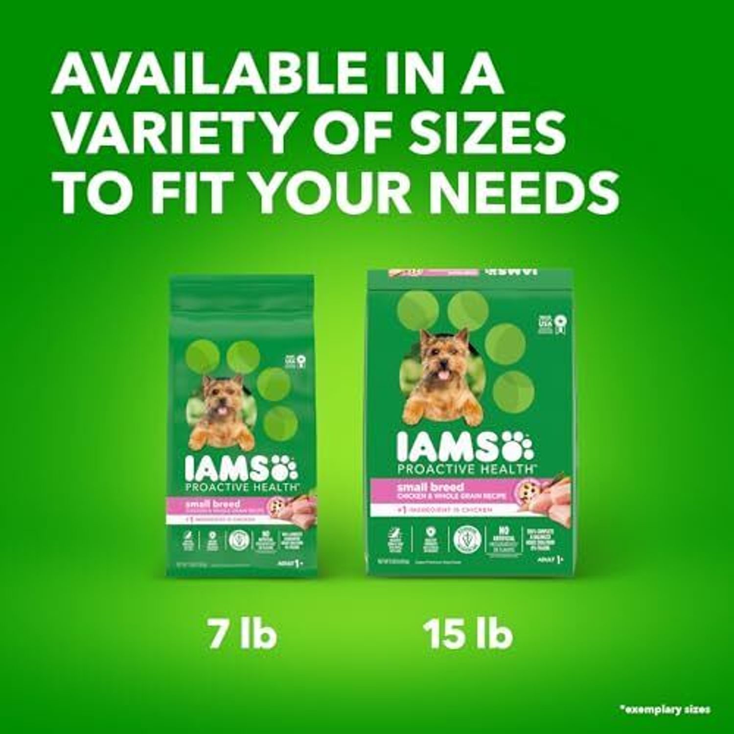 IAMS PROACTIVE HEALTH Small Breed Adult Dog Food 7 lb Dry Chicken Kibble