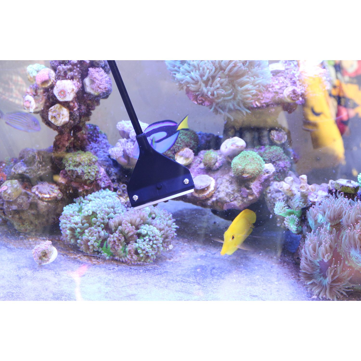 QANVEE Aquarium Algae Scraper Cleaner Brush with 10 Stainless Steel Blades for Fish Reef Plant Glass Tank 26 Inch