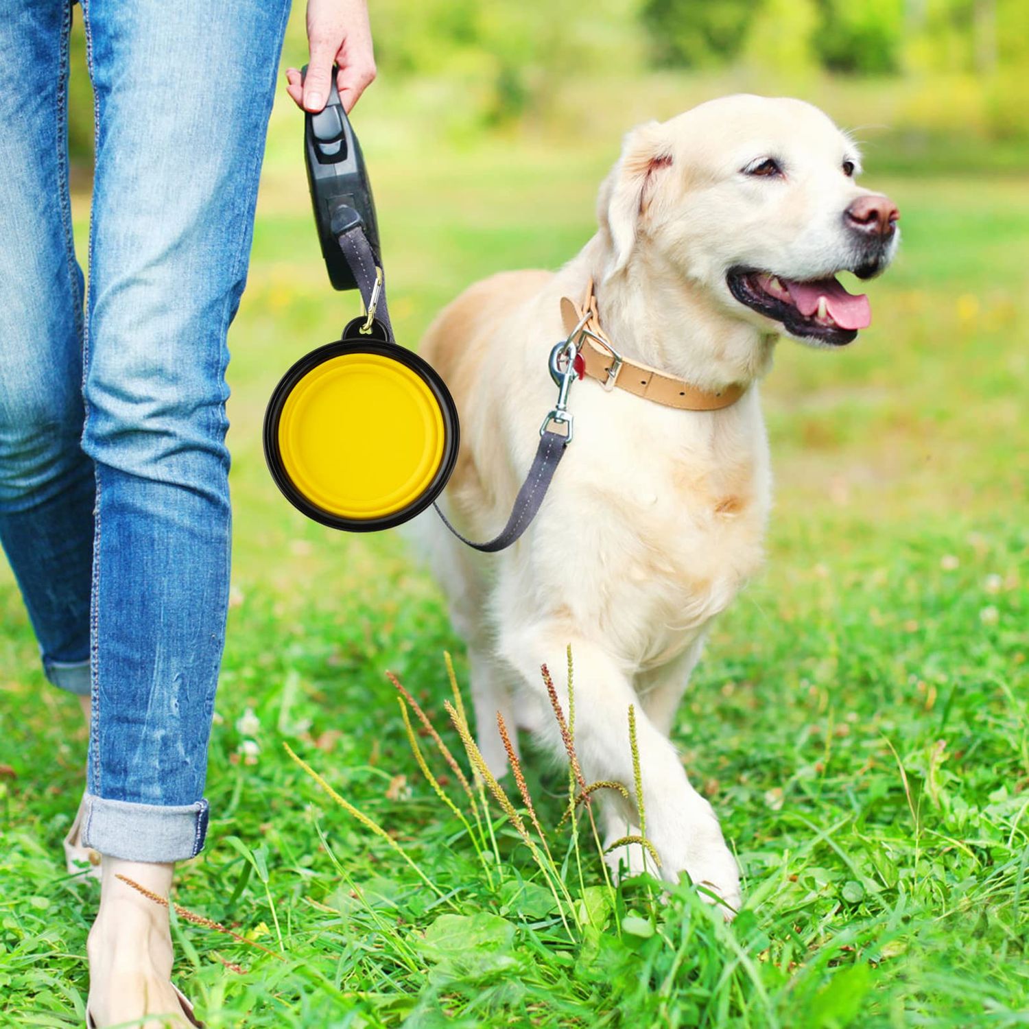 MXZONE 3 Collapsible Silicone Dog Bowl, Foldable Expandable Cup Dish for Small Pet Cat Food Water Feeding Portable Travel Bowl, Free Pet ID-Tag, Yellow Blue Black, S