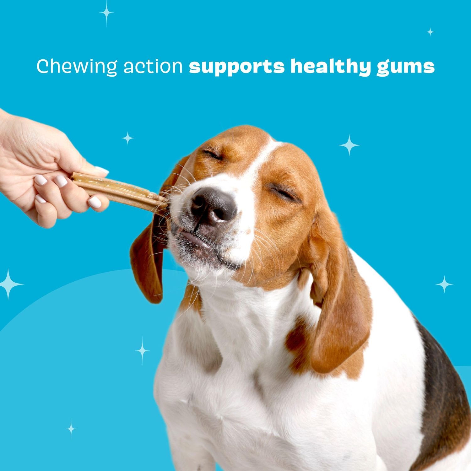 Barkbox Bright Original Dog Dental Chew Sticks Plaque and Tartar Cleaning, Medium Breeds (30 Chews)