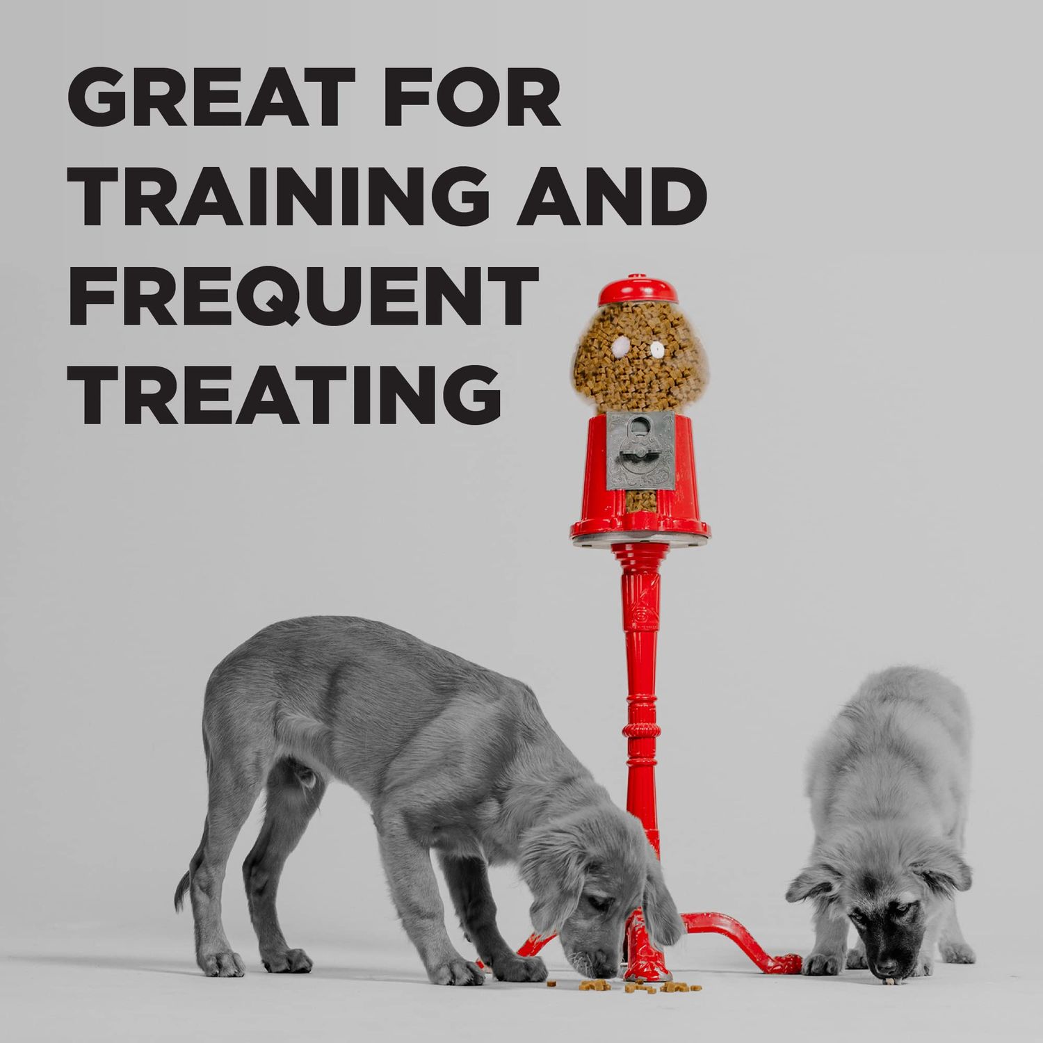 BIXBI Pocket Trainers, Peanut Butter (6 oz, 1 Pouch) - Small Training Treats for Dogs - Low Calorie and Grain Free Dog Treats, Flavorful Pocket Size Healthy and All Natural Dog Treats