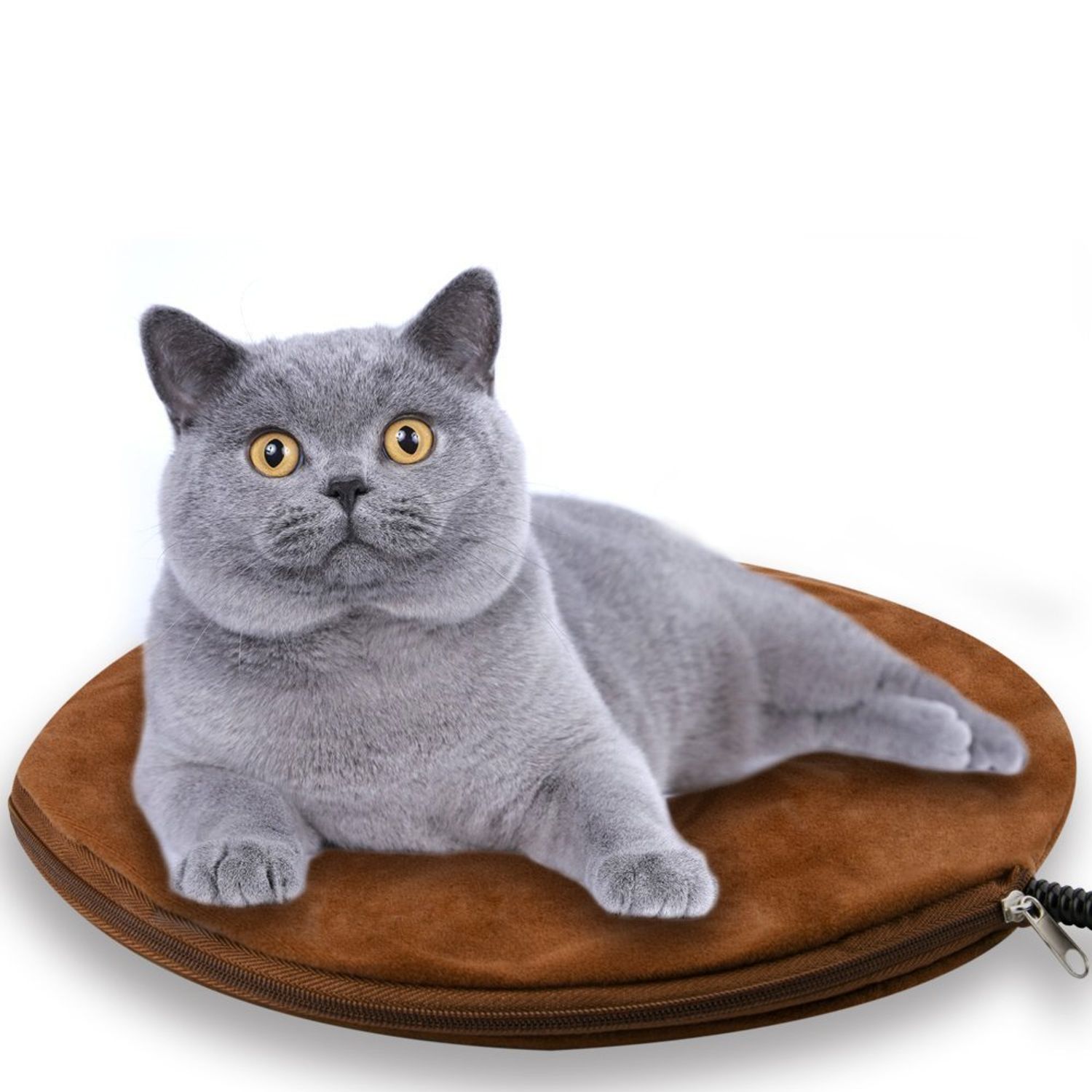 Berocia Pet Heating Pad Small for Kittens Cats Dogs Waterproof Electric 7 Level Adjustable Temperature Pet Bed Warmer Blanket with Chew Resistant Cord Soft Removable Cover (Coffee)