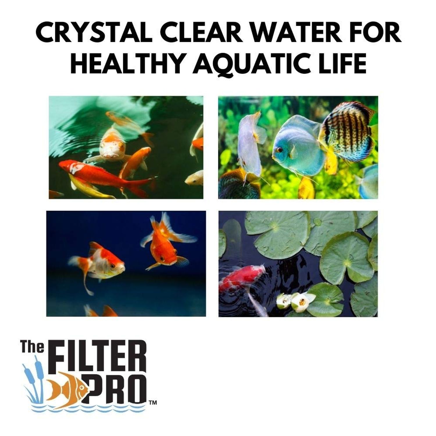 The Filter Pro Beige Coarse Filter Media, 2" Thick, 24" x 24" Pads, 2 Pack, Perfect for Aquariums, Ponds or Water Gardens, Made in USA