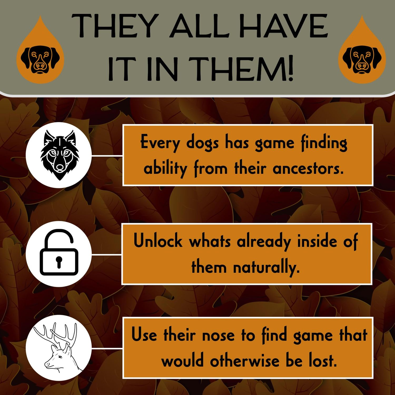 DogBone BloodTrail Scent for Tracking Dog Training | Dog Training Kit | Hunting Dog Accessories | Dog Scent Training Kit | Deer Hunting Accessories | Dog Training Tools | Scent Work Training for Dogs