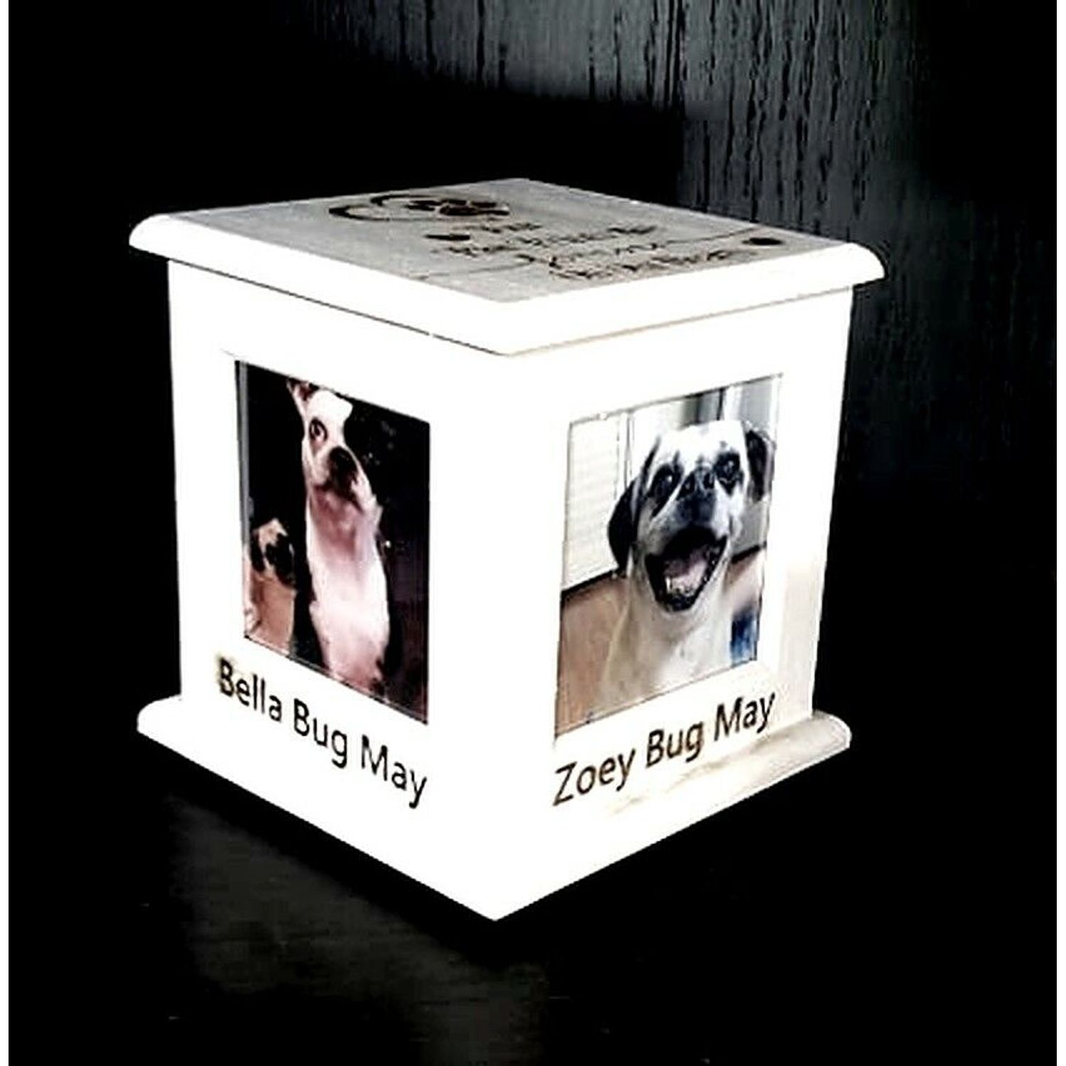 Pet Urn Memorial for Cremation Ashes | Cat Urn & Dog Urn Laser-Engraved ❤️