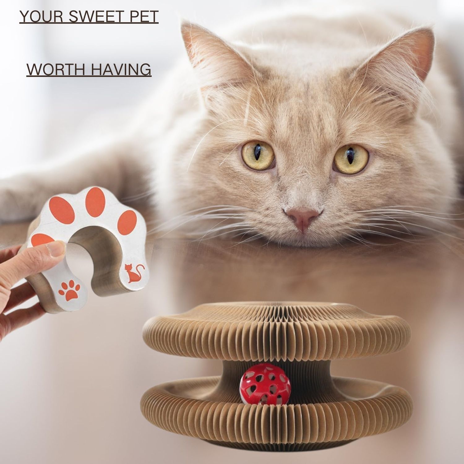 HUPIRCT Cat Scratching Board, Cardboard cat Toy with Bell, Interactive cat kurlz, Magic Organ cat Toy, Recyclable and Durable (XXL)