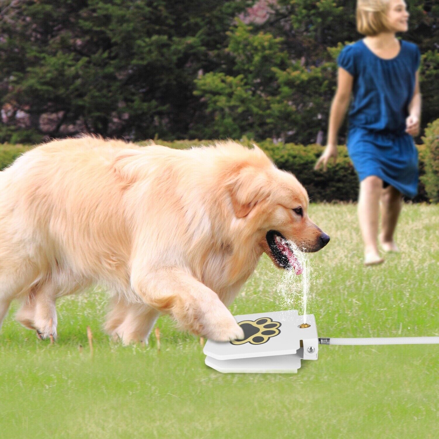 Dog Water Fountain Step-on Activated Sprinkler Toy for Drinking Fresh Water