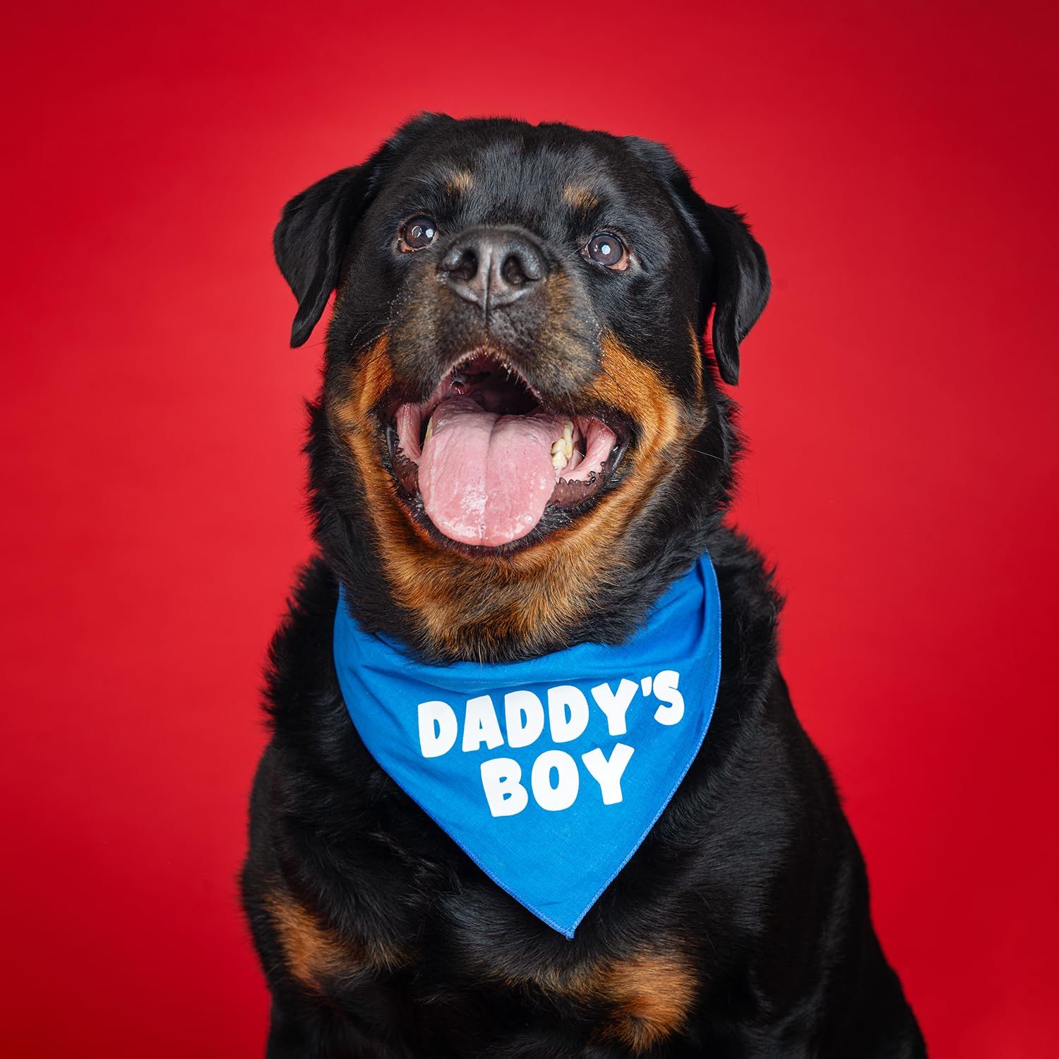 Daddy's Boy Father's Day, Valentine's Day Dog Bandana (Red, OS 943)