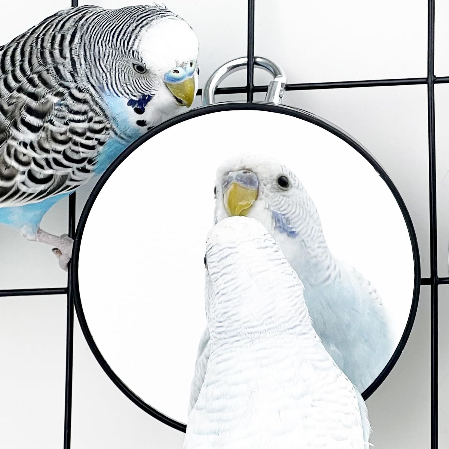 FlidRunest Bird Mirror Toy for Cage, 10X Bird Parrot Interactive Playing Cage Toy with Hook, Parrot Toy Bird Cage Mirror for Cockatiel, Parakeets, Lovebirds, Finch, Canaries, Budgie -2PCS
