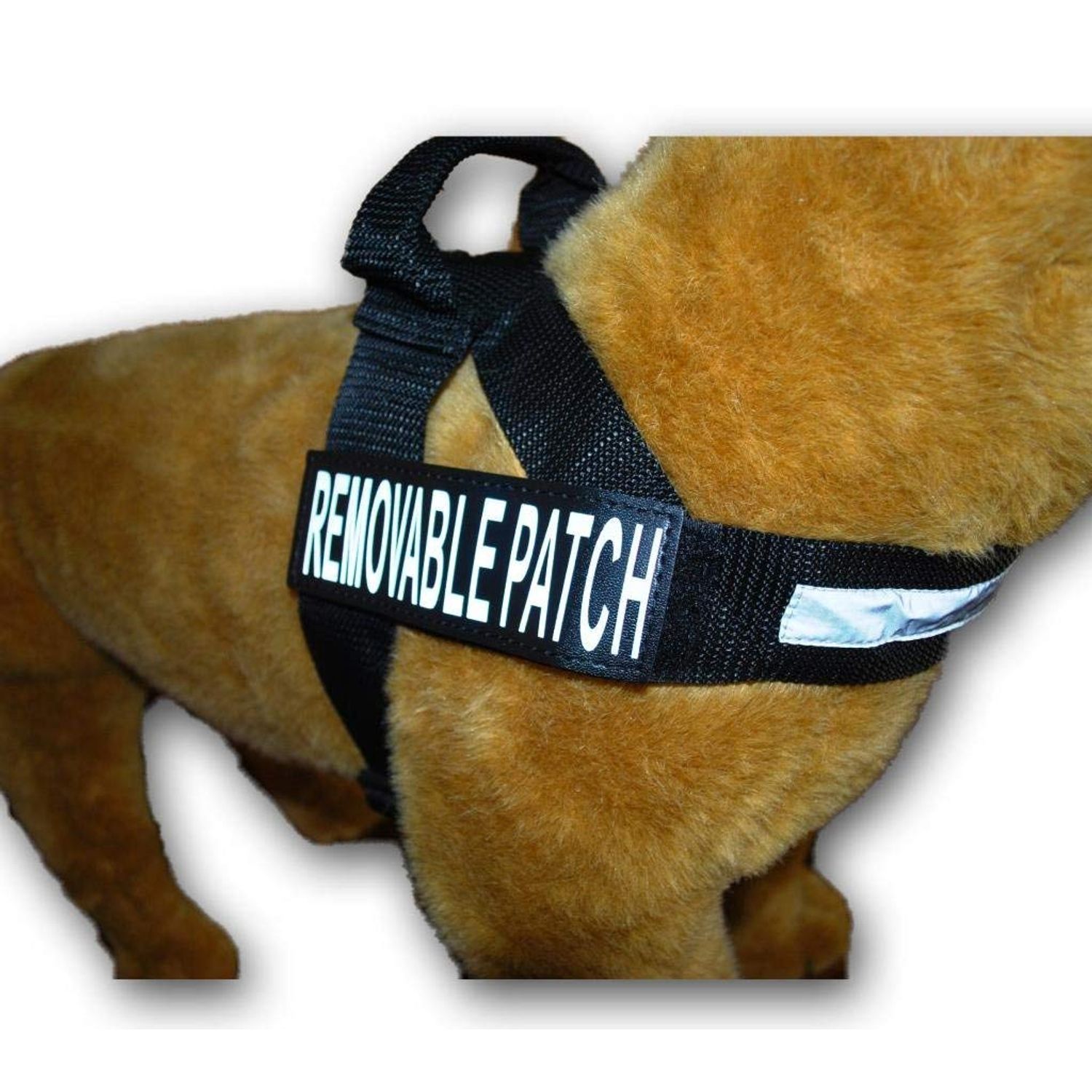 in Training Nylon Strap Service Dog Harness No Pull Guide Assistance Comes with 2 Reflective in Training Removable Patches. Please Measure Your Dog Before Ordering. (Medium Fits Girth 22-29")