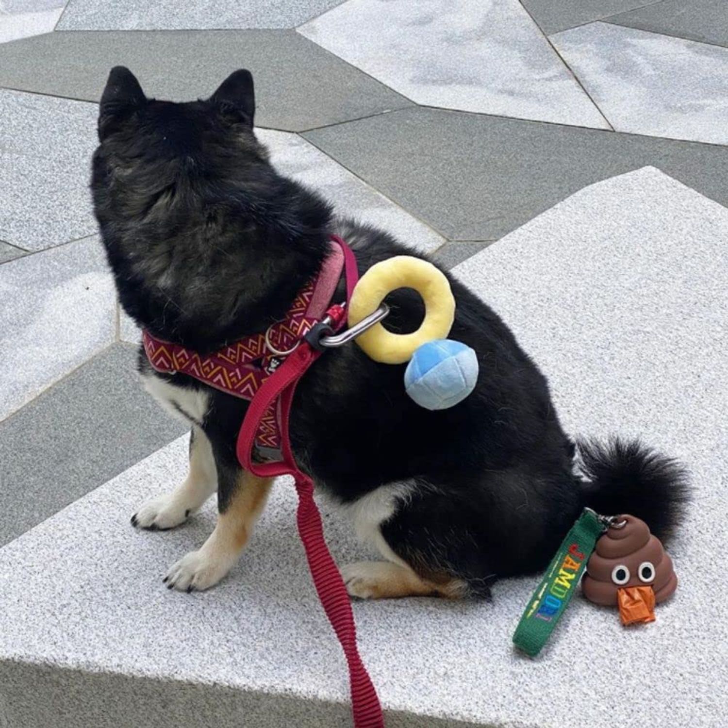HomeSoGood Squeak Plush Toy, Interested Diamond Ring Case, Stuffed Pet Chew Soft Pet Supplies Dog Toy for Dog Wedding
