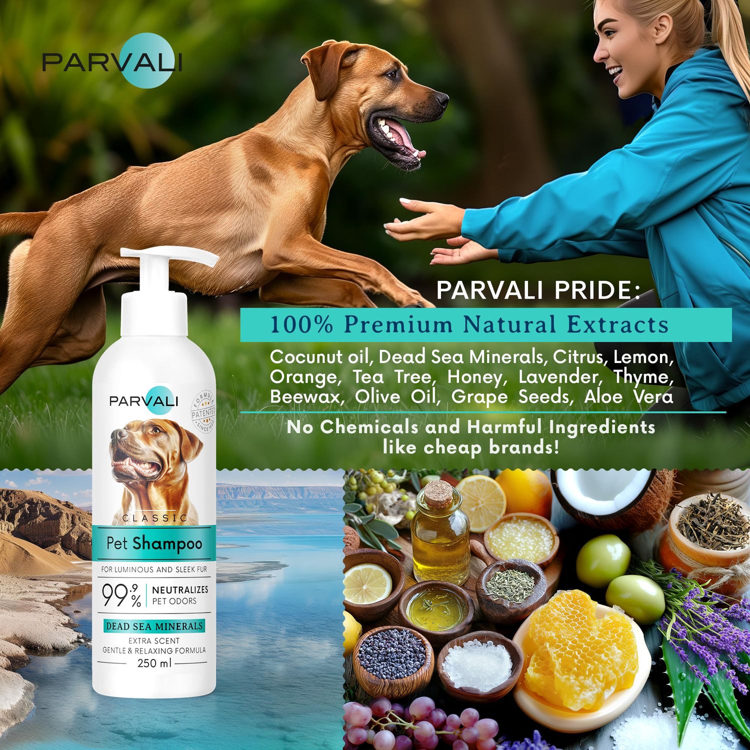 PARVALI Natural Dead Sea Classic Dog Shampoo (250 ml, 8.45 fl oz). Unique Odor-Neutralizing Blend, Minerals Rich, Anti-Oxidative, Antiseptic, and Calming Formula for Gentle and Easy Application.