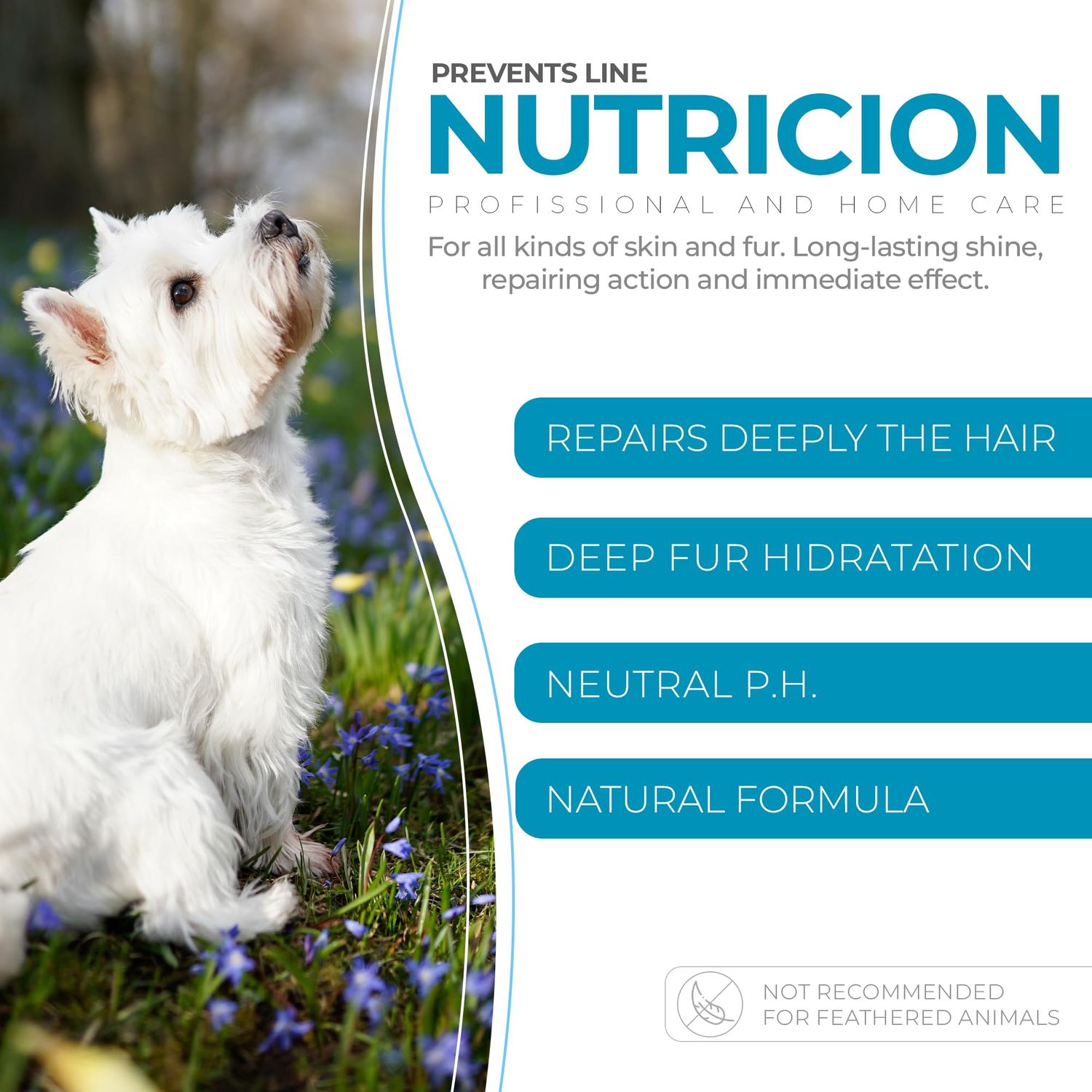 Nutrition Hypoallergenic Conditioner for Pets - Fur Detangling, Nourishment & Hydration, All Ages Pet Grooming Products, Horse, Cat and Dog Bath Supplies - Vegan, Paraben-Free - 10.6oz - PUREZA PET