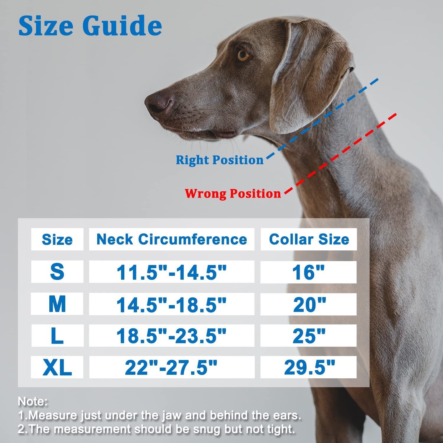 Martingale Collar for Dogs, No Pull Dog Collar for Small Medium Large Dogs, Dog Walking Collar for Pulling, Anti Pull Dog Martingale Training Collars with Buckle (L, Black)