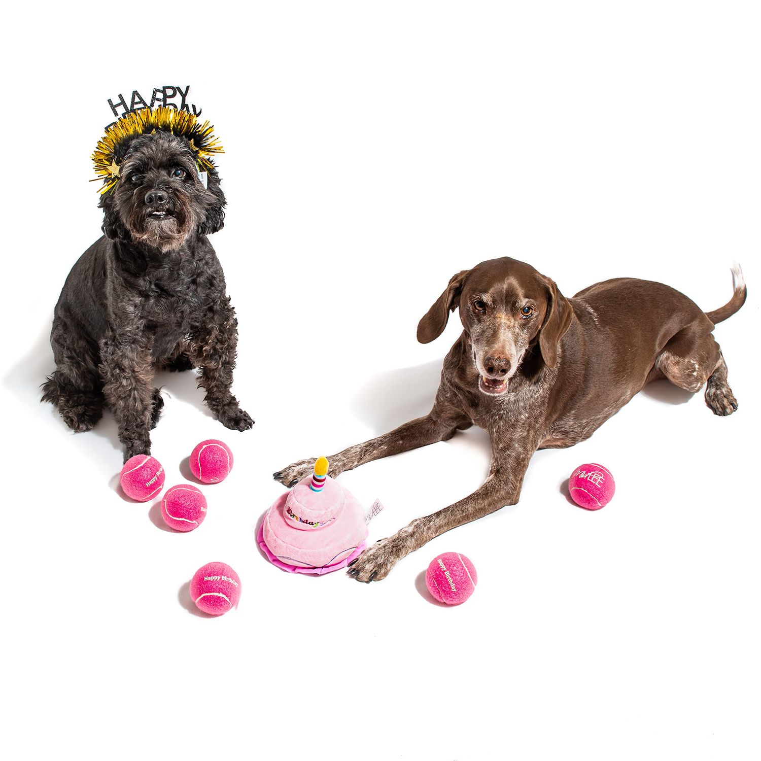 Midlee 2 Layer Birthday Cake 7" Tall Dog Toy (Pink)